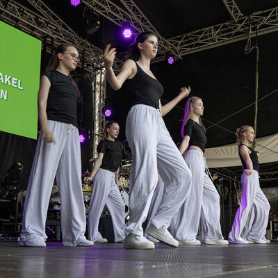 Bild vergr&ouml;&szlig;ern: Plauener Spitzenfest 2026