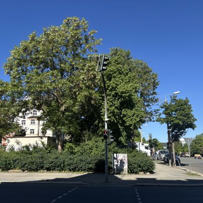 Bild vergr&ouml;&szlig;ern: Aktuelle Eindr&uuml;cke aus dem Richard-Wagner-Platz