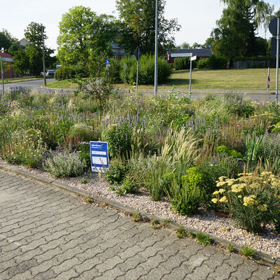 Bild vergr&ouml;&szlig;ern: Klima-Insel Max-Planck-Stra&szlig;e
