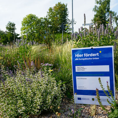 Bild vergr&ouml;&szlig;ern: Klima-Insel Max-Planck-Stra&szlig;e
