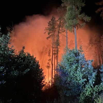 Bild vergr&ouml;&szlig;ern: Waldbrand "Schwarzes Holz" - 11. August | Tag 1: Brand Me&szlig;bach August 2026