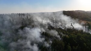 Waldbrand im Gebiet "Schwarzes Holz"
