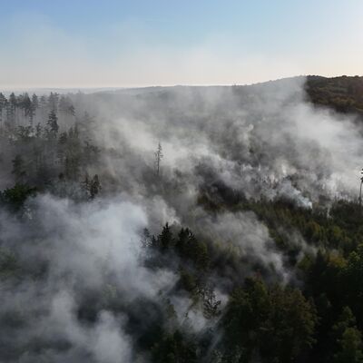Bild vergr&ouml;&szlig;ern: Waldbrand "Schwarzes Holz" - 12. August | Tag 2 - Hubschrauber im Einsatz