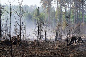 Waldbrand - Stand 12:30 Uhr
