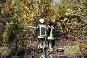 Waldbrand - Stand 12:30 Uhr