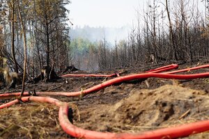 Waldbrand - Stand 12:30 Uhr