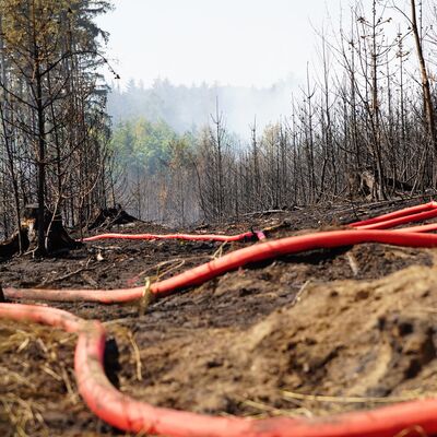 Bild vergr&ouml;&szlig;ern: Waldbrand "Schwarzes Holz" - 12. August | Tag 2