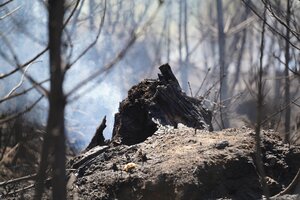Waldbrand - Stand 12:30 Uhr