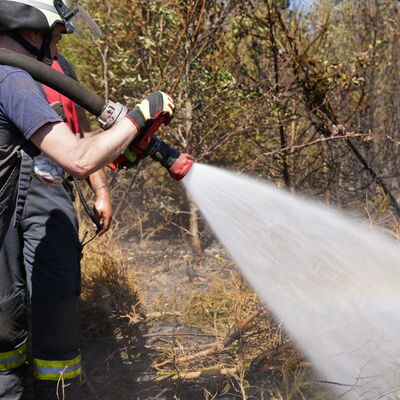 Bild vergr&ouml;&szlig;ern: Waldbrand "Schwarzes Holz" - 13 August