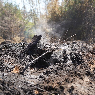 Bild vergr&ouml;&szlig;ern: Waldbrand "Schwarzes Holz" - 13 August
