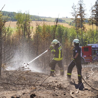 Bild vergr&ouml;&szlig;ern: Waldbrand "Schwarzes Holz" - 13 August