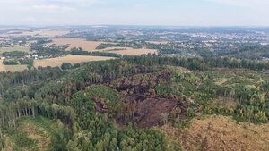  Waldbrand "Schwarzes Holz" - 16.08.2026 | Tag 6 