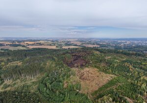  Waldbrand "Schwarzes Holz" - 16.08.2026 | Tag 6 