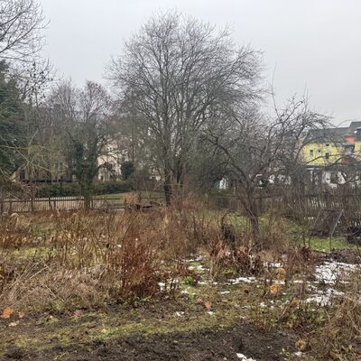 Bild vergr&ouml;&szlig;ern: Schulgarten Grundschule Friedrich R&uuml;ckert