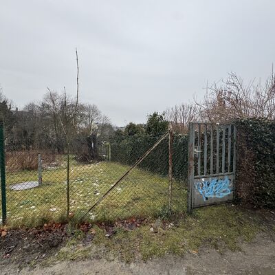 Bild vergr&ouml;&szlig;ern: Schulgarten Grundschule Friedrich R&uuml;ckert