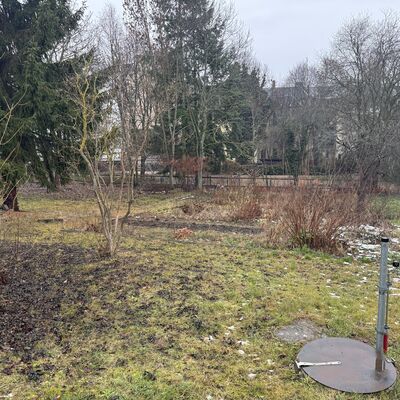 Bild vergr&ouml;&szlig;ern: Schulgarten Grundschule Friedrich R&uuml;ckert