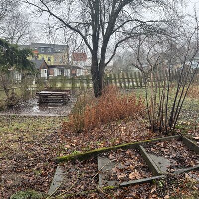 Bild vergr&ouml;&szlig;ern: Schulgarten Grundschule Friedrich R&uuml;ckert