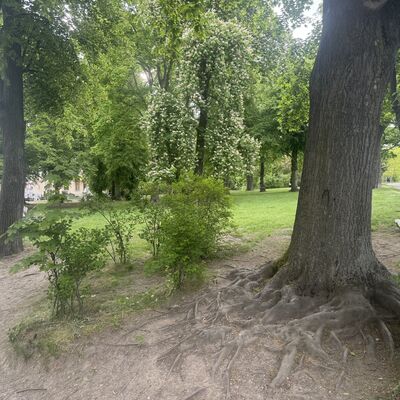 Bild vergr&ouml;&szlig;ern: R&uuml;ckertplatz  vor Umgestaltung Mai 2026