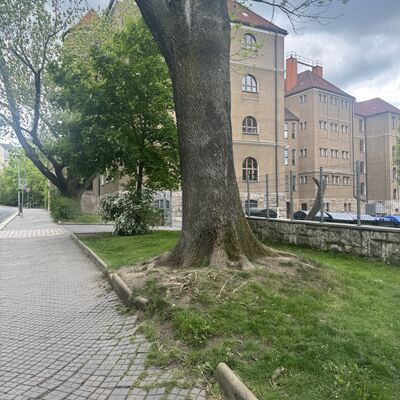 Bild vergr&ouml;&szlig;ern: R&uuml;ckertplatz  vor Umgestaltung Mai 2026