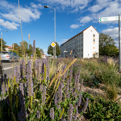 Bild vergr&ouml;&szlig;ern: Klima Insel auf der Max-Planck-Stra&szlig;e