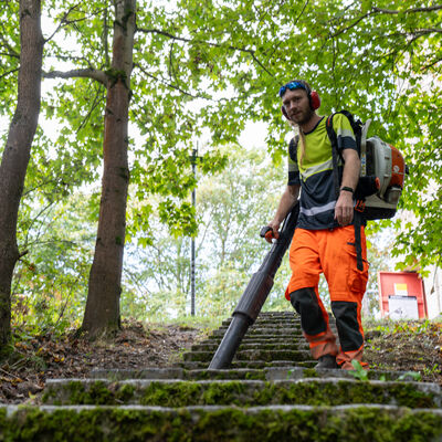 Bild vergr&ouml;&szlig;ern: Teilnehmer des Projekt &raquo;Arbeitsgelegenheiten&laquo; am Kemmler