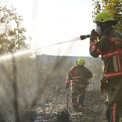 Bild vergr&ouml;&szlig;ern: Waldbrand Voigtsgr&uuml;n