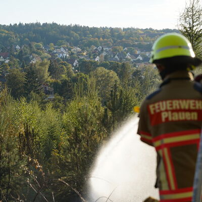Bild vergr&ouml;&szlig;ern: Waldbrand Voigtsgr&uuml;n