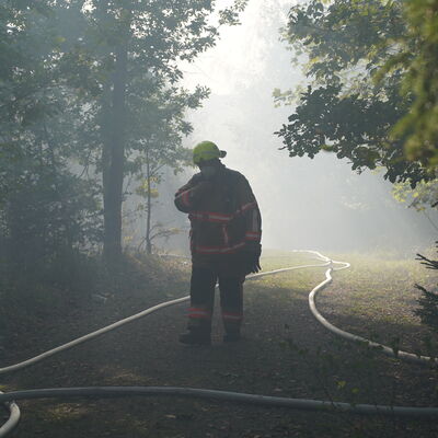 Bild vergr&ouml;&szlig;ern: Waldbrand Voigtsgr&uuml;n