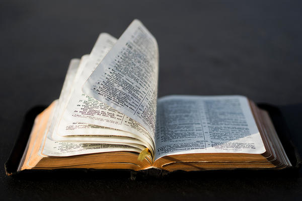 Bild vergrößern: Eine aufgeschlagene Bibel mit blätternden Seiten im Sonnenlicht.