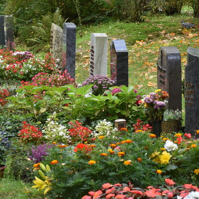 Bild vergrößern: Hauptfriedhof Plauen -  Grabstellen