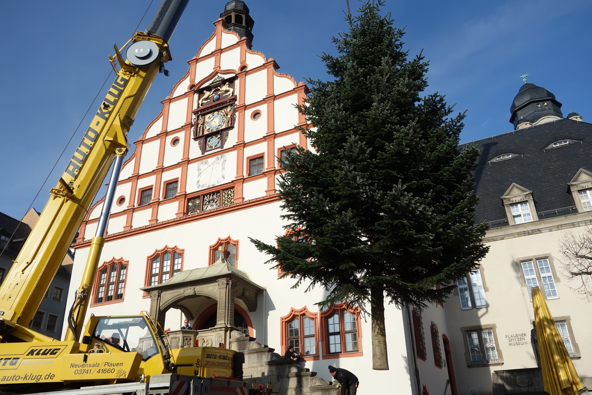 Bild vergrößern: Aufstellung des Weihnachtsbaums auf dem Plauener Altmarkt
