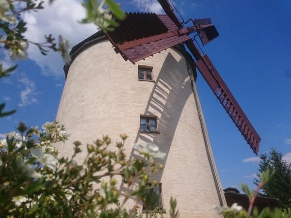 Bild vergrößern: Windmühle Syrau