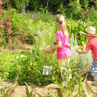 Bild vergr&ouml;&szlig;ern: Kinder in Garten Pfaffengut
