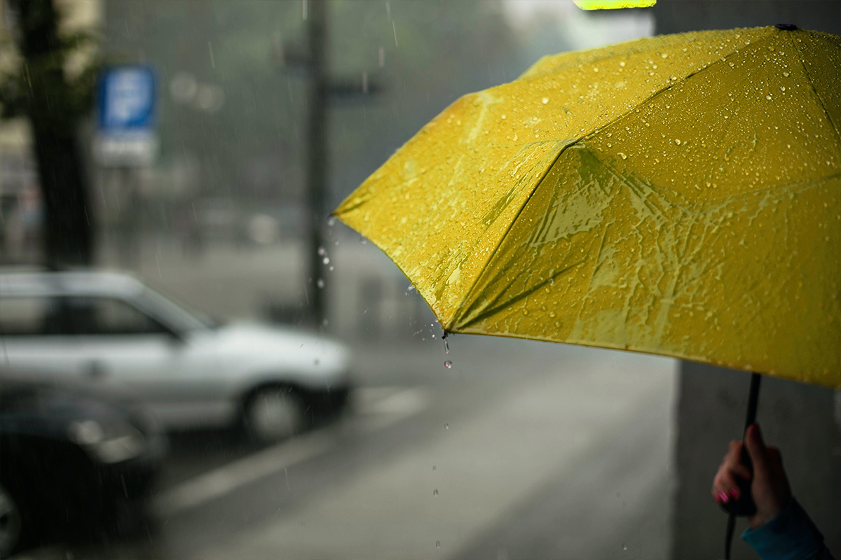 Bild vergrößern: Regenschirm bei Regen