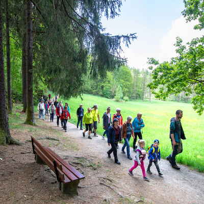 Bild vergrößern: 11. Sächsischer Wandertag: Sonntagsprogramm - mit Förster Michael Ernst (rechts vorn) im Stadtpark unterwegs auf den Spuren von Flora und Fauna