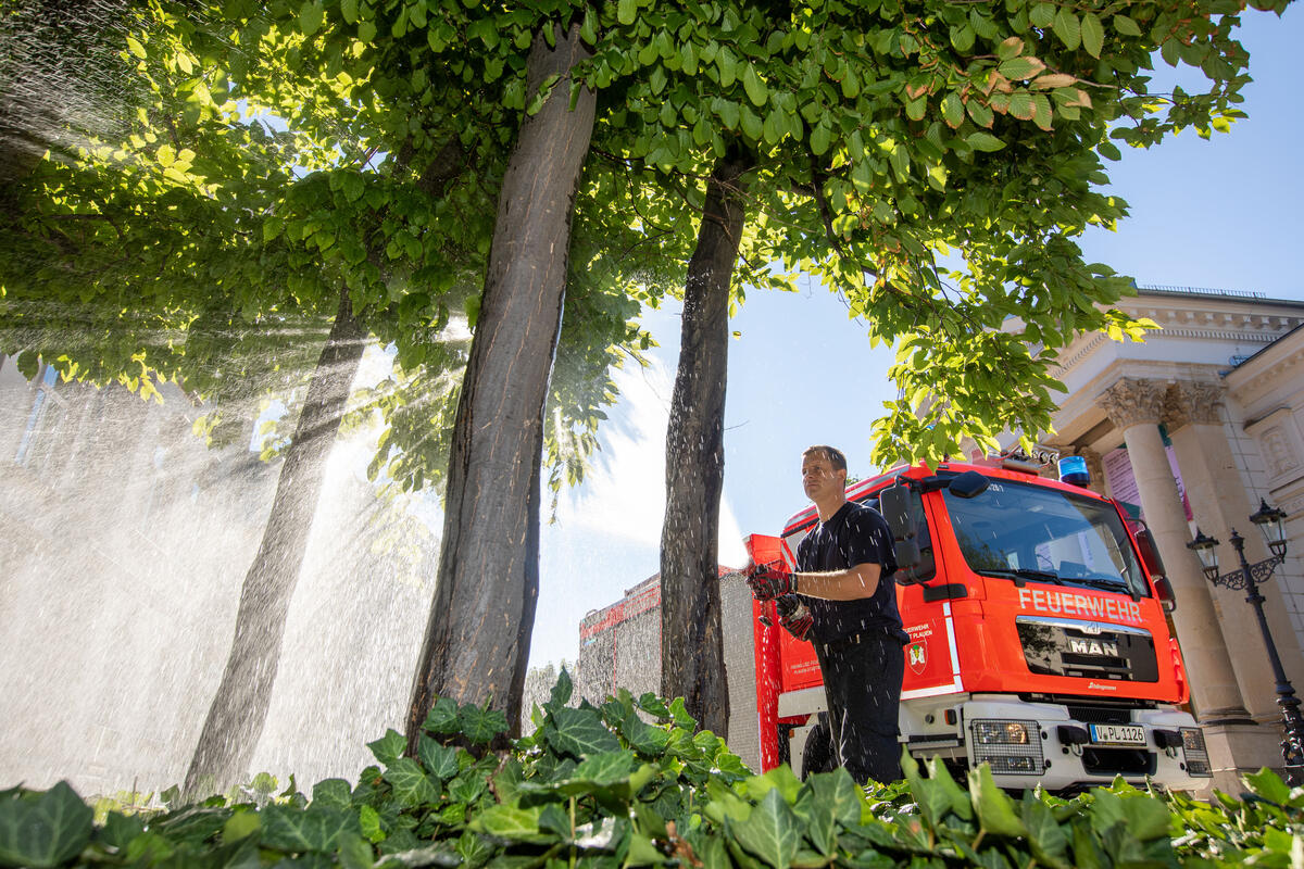 Bild vergrößern: Gegen die Hitze -  Berufsfeuerwehr im Einsatz:Brandmeister Pierre Janzon unterstützt die Baumpflege