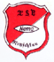 Bild vergrößern: TSVNemaNetzschkau logo