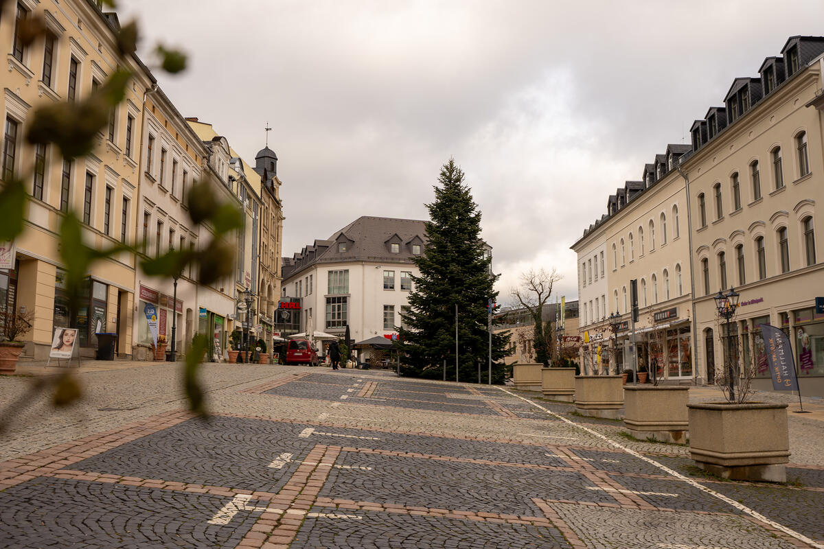 Bild vergrößern: Weihnachstbaum auf dem Klostermarkt