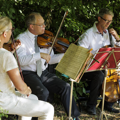 Bild vergr&ouml;&szlig;ern: Musikalischer Parkspaziergang