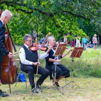 Bild vergr&ouml;&szlig;ern: Musikalischer Parkspaziergang im Stadtpark 2025